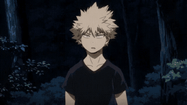 Katsuki Bakugo (My Hero Acadamia) - [KIN: med/low]